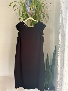 LOFT Plus Size 16 Stylish Black Shift Dress